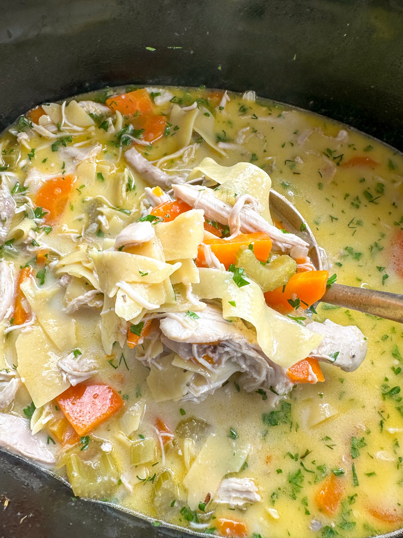 Cozy Creamy Slow Cooker Chicken Noodle Soup Ladle full of creamy slow cooker chicken noodle soup