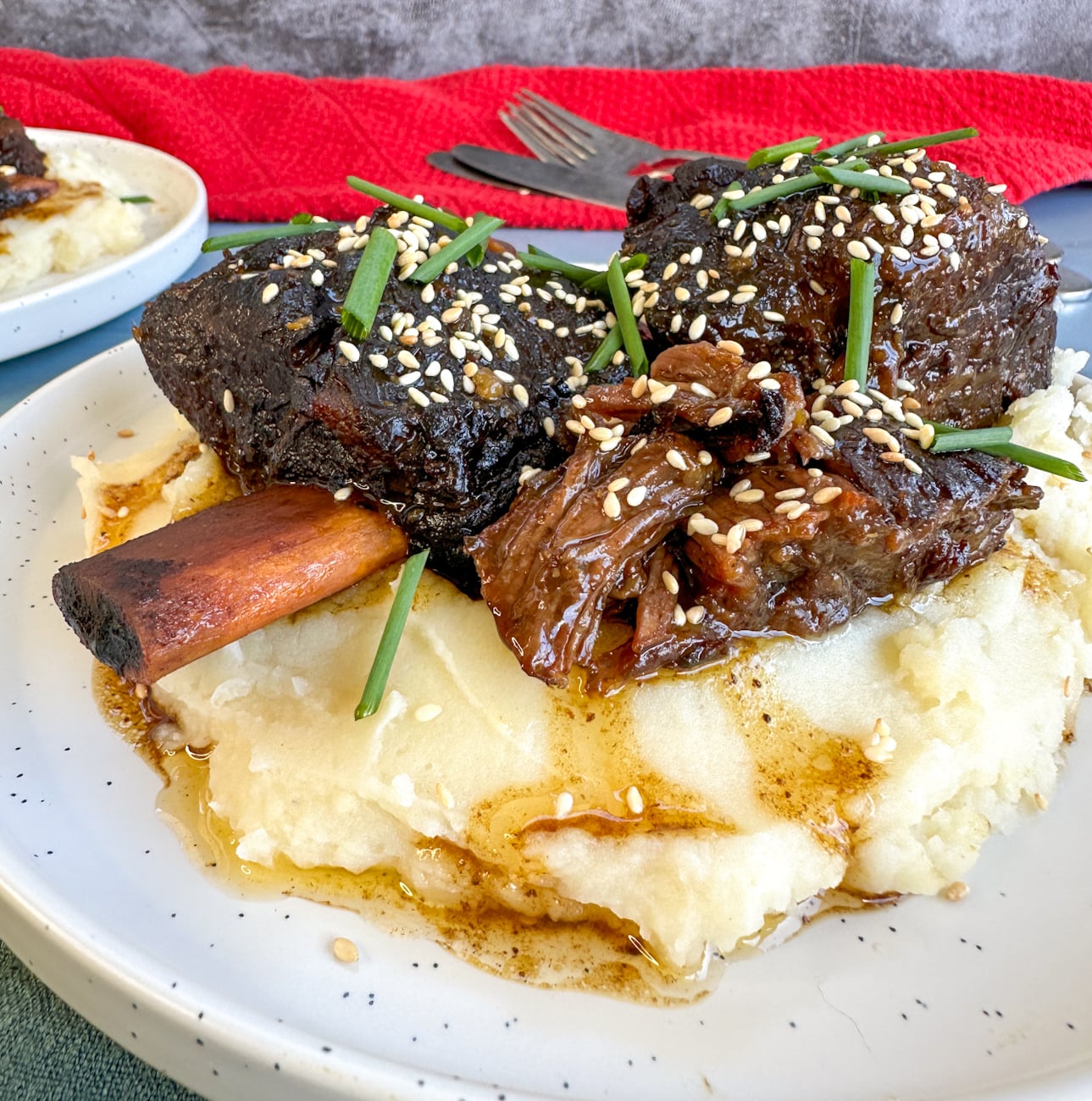 plate of mash with rich shortribs