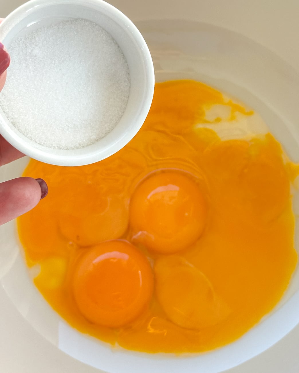 adding caster sugar to egg yolks to make a custard