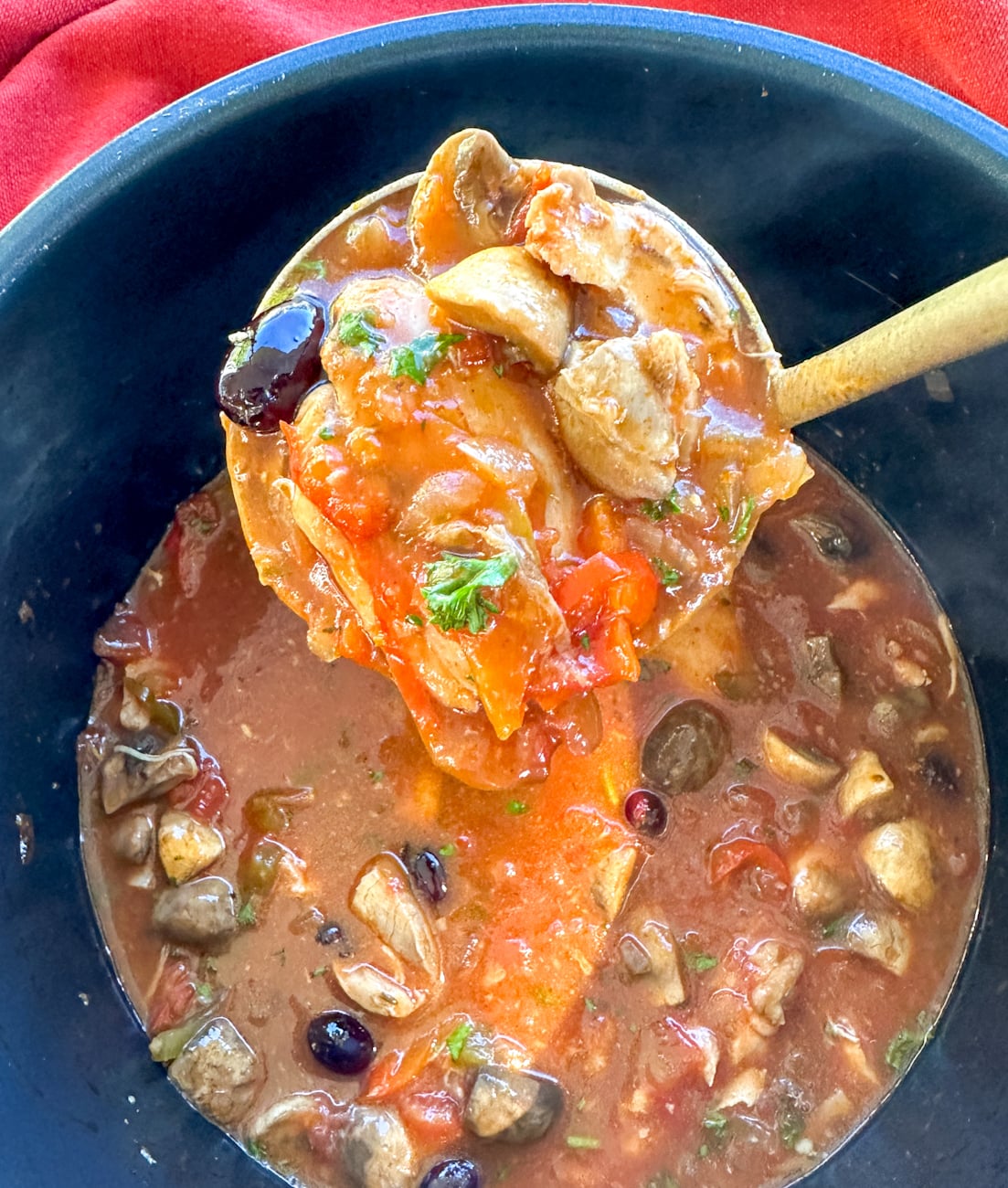 Ladle full of chicken cacciatore